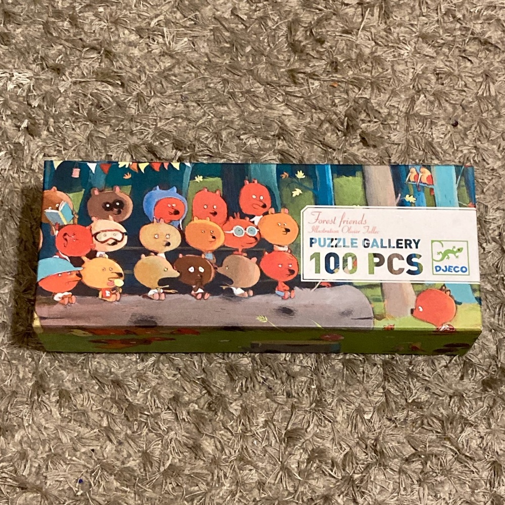 100 Piece Kids puzzle